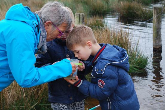 B Projecten waarbij IVN Best betrokken is Langven Ook in 2017 heeft IVN Best het monitoren van het natuurgebied het Langven uitgevoerd. Met behulp van tablet en de app van waarnemening.