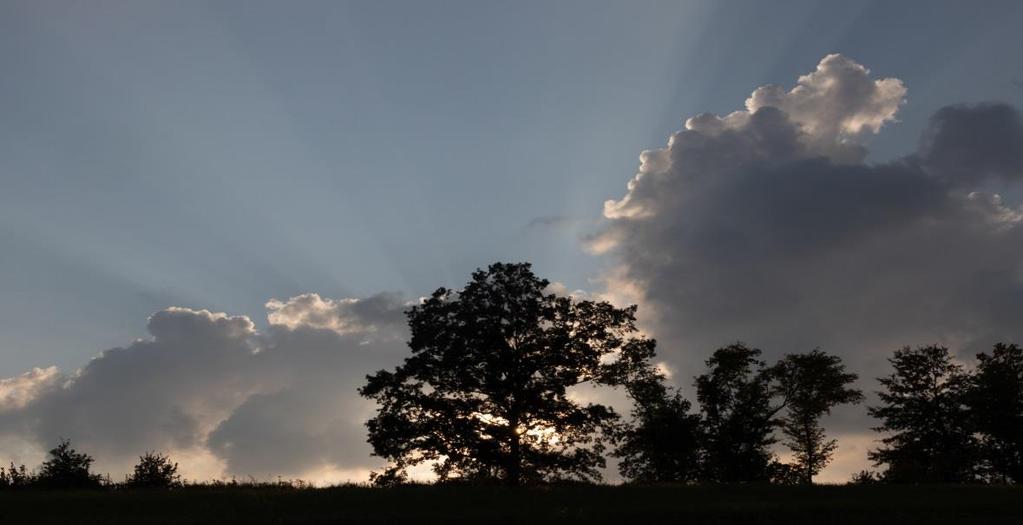 INTRODUCTIE waarom wij natuur nodig hebben?