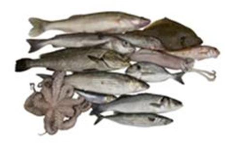 Metalen: hoe blootstelling verminderen? Kwik Kwik blootstelling: aanbeveling 2 porties vis per week, waaronder één portie vette vis.