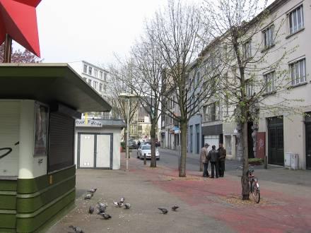 structuur van het plangebied.