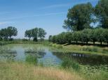 Voor Fort Nieuwe Steeg is Staatsbosbeheer op zoek naar een nieuwe eigenaar en een nieuwe bestemming.