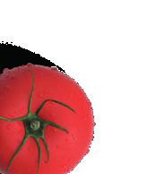 met tzay en groenten (glutenvrij) Seitangebraad met kruidige tomatensaus KOUD 1,25 1,50 1,75 2,00 1,75 1,75 1,75 WARM 3,25 2,00 2,75 Extra Wintergroenten, boontjes met