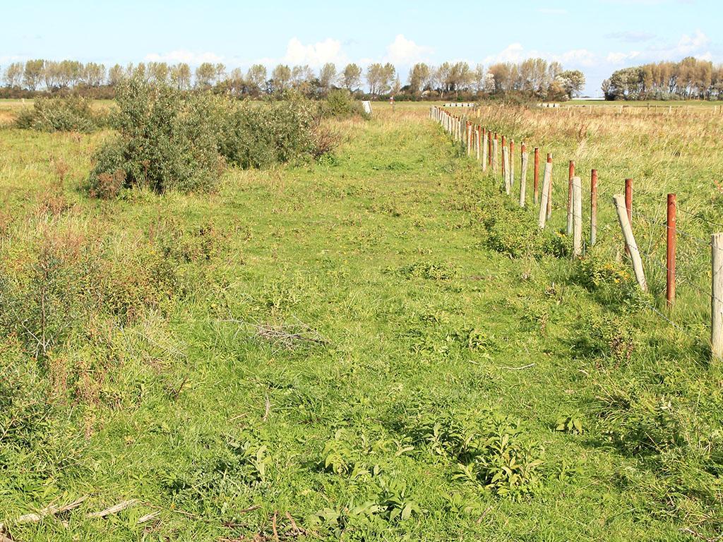 Ook langs dit raster is geklepeld, maar in tegenstelling tot in vak K1 en K3 blijft hier herstel achter. Over locatie K loopt een leidingstraat.