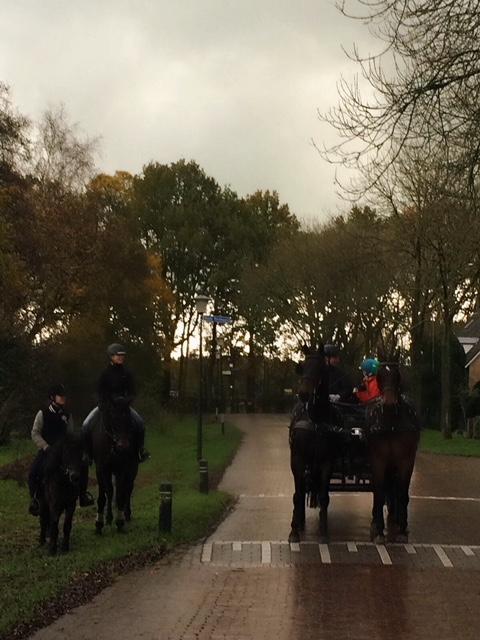 Een ander paard en de pony werden bereden door Merit Bouwmeester en Li Ann Schaapherder. De vaste berijdsters van deze twee edele dieren en zeer trouwe grooms van Stal Vos.