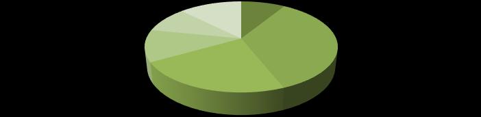 3. Gebieden met significant energieverbruik De energieverbruikers die de meeste energie verbruiken zijn grofweg te verdelen in: Vervoer, brandstofverbruik; Kantoorlocatie, elektriciteitsverbruik en