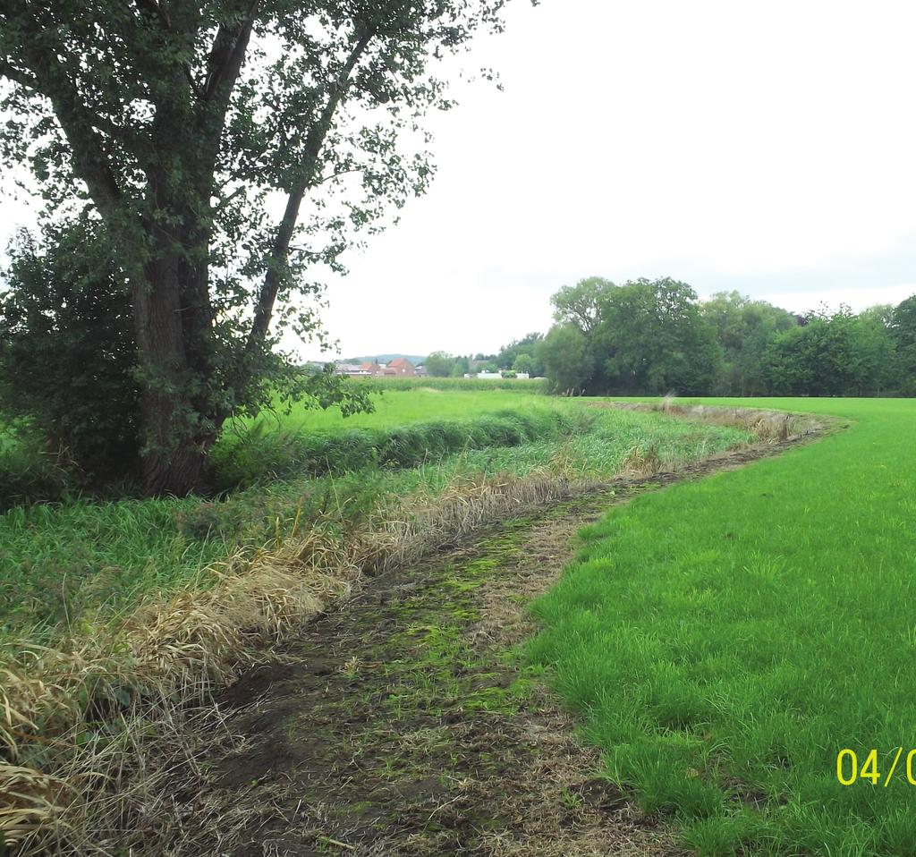 Vlaanderen is milieu pesticiden in oppervlaktewater