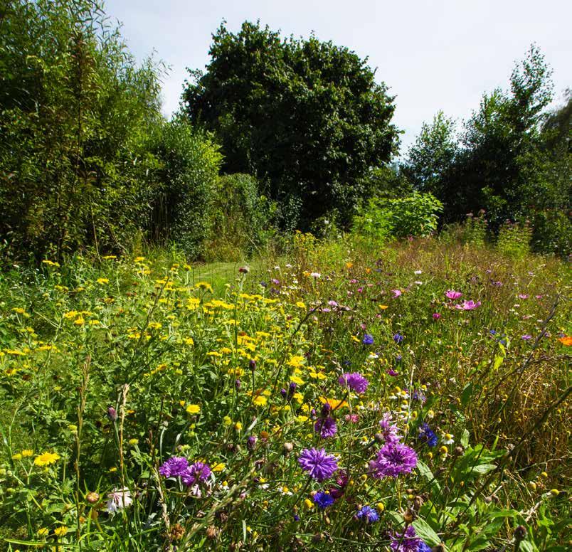 Vlaanderen is milieu Pesticiden in de