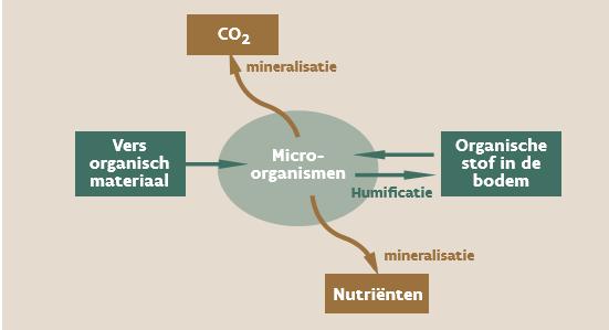 Wat is organische stof?