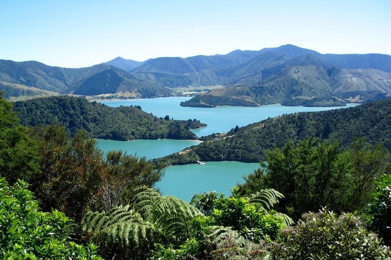 Dag 12: Wellington - Marlborough Sounds - Picton - Nelson Je neemt afscheid van het Noordereiland om vervolgens aan boord te gaan van de Interislander Ferry.