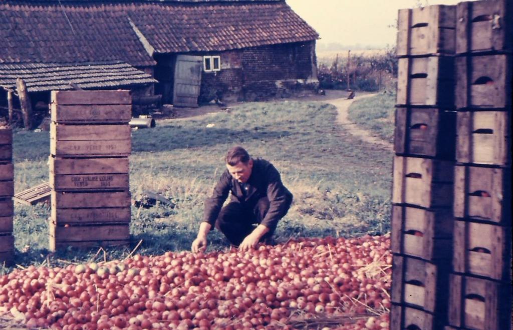 Deze komt uit de collectie van Meister Verheijen. Hij schrijft er bij: Beitels of bijlen, die gebruikt werden om bomen te kappen of hout te bewerken.