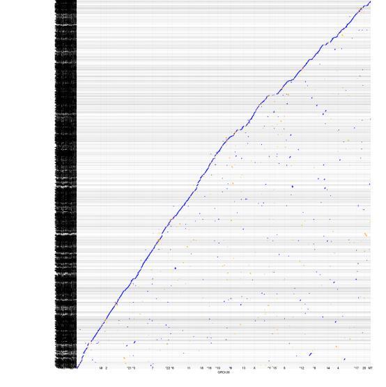 Comparative test of Tulipa julia using long read training set of human genome Canu v1.4 (35x Nanopore) Tulipa-julia v1.