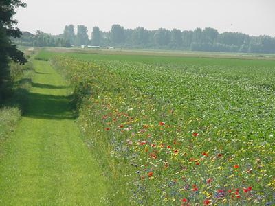 Waarde bepalende factoren Natuur