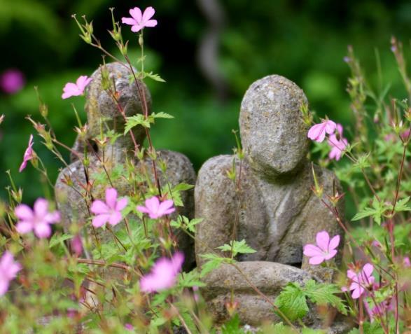 Herinneringsbijeenkomsten Wij herdachten samen met familieleden de overleden gastbewoners in ons hospice.