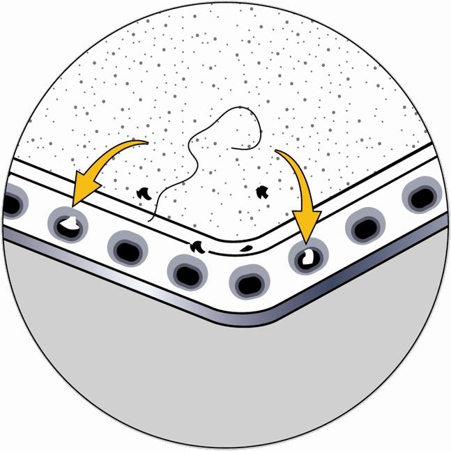 3) Bodemafzuiging Vuilt zinkt naar de bodem en wordt daar afgezogen door de strategisch geplaatste gaatjes door middel van de spa-pomp.