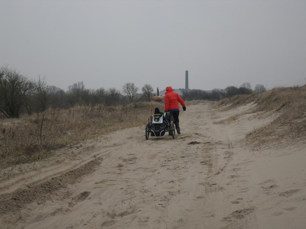 Net als we denken dat we nu alles gehad hebben voor vandaag wordt de weg geblokkeerd door een kudde runderen met kalfjes.