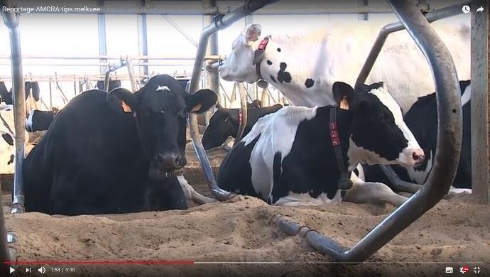 10 Activiteiten en realisaties antibioticagebruik en -resistentie bij dieren in België - 2017 In 2017 werd de uitwerking gestart van publireportages waarin de tv-kijkende landbouwer wegwijs wordt