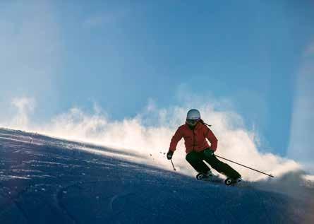 Firebird Ti Lengte: 148/154/160/166/172/178 Sidecut: 121/71/104 Radius: 14,5 (172 cm) Als je houdt van snelle bochten op verse pistes dan is deze Wereldbeker-geïnspireerde ski voor jou!