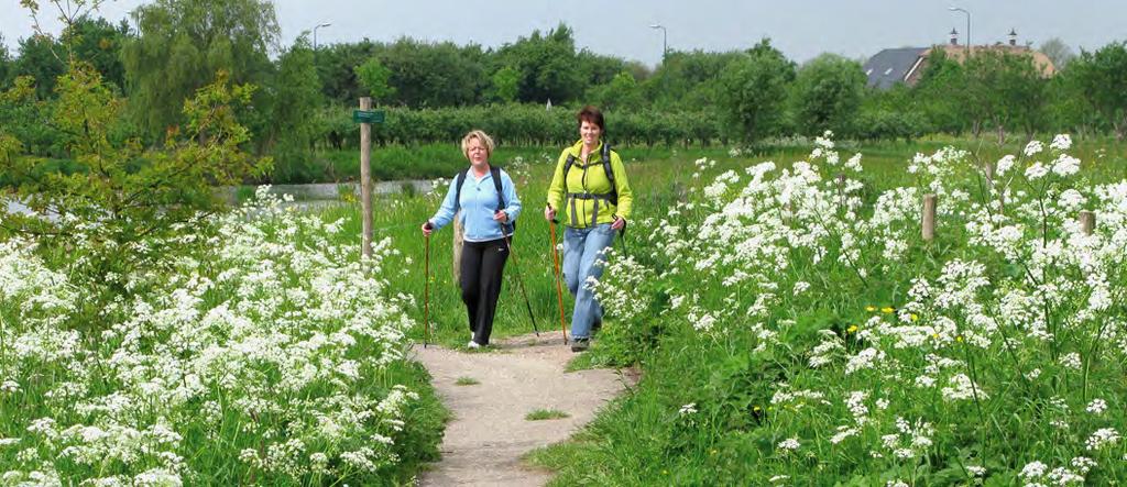 Ambitie landschap Het Kromme Rijngebied is hier als verzamelnaam voor het Rivierengebied exclusief uiterwaarden gebruikt. Dit gebied is erg divers en dat willen we graag benadrukken.