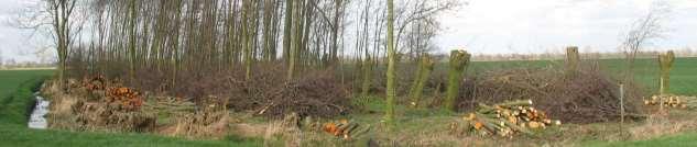 Hakhoutbosje Hakhoutbosjes of ook wel geriefhoutbosjes hebben vaak als functie het leveren van hout voor afrasteringpalen, gereedschappen en voor brandstof.