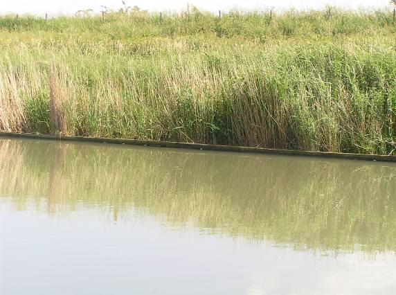In de zomer wordt er doorgespoeld om het water in de polders te verzoeten voor landbouwkundig gebruik.