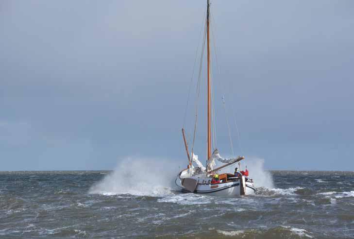 januari 0 ij wensen u een spetterend 0 eek Nieuwjaarsdag 0 0.0-.