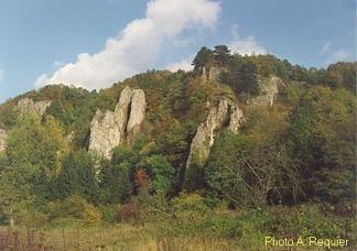 De natuur De omgeving van Comblain la Tour is erg mooi. Jullie zitten midden tussen de heuvels van de Ardennen. Deze zijn al ontstaan in de ijstijd.