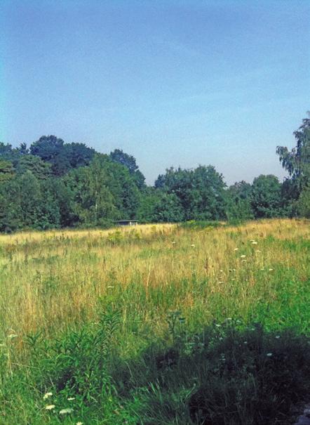 naar Brugge en Antwerpen (E34, Waaslandhaven-Oost). Zwijndrecht-Burchtenaren begeven zich naar de parallelweg via de Blancefloerlaan of via de Pastoor #3 #4 Coplaan.