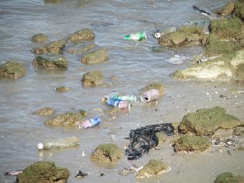 (milieucentraal) Het imago van kunststof verpakkingen staat onder druk door zwerfafval in het water In onze oceanen en zeeën drijft steeds meer plastic afval.