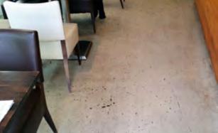 Het was duidelijk zichtbaar dat de vloer intensief gebruikt werd en onderhevig was aan gebruiksschade door schuivende en stotende lasten.