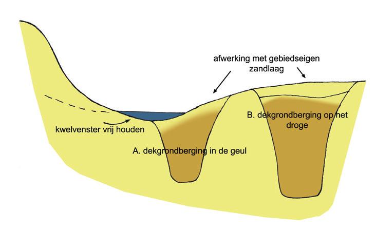 Uitgangspunt is derhalve de aanleg van ondiepe (kwel)geulen (max 0,8-0,5 m onder GLG).