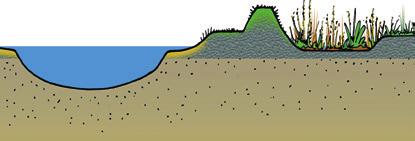 Kenmerkende ecotopen voor de gestuwde Nederrijn en Lek zijn hoogwatergeulen, moerassen, natte graslanden en hardhoutooibossen,