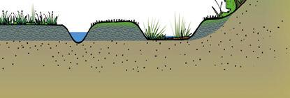 Voor dit riviertraject onderscheiden we de volgende vormen van hoogwatergeulen: geïsoleerde geulen, aangetakte rivierkwelgeulen