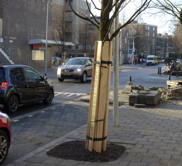 Wegwerkzaamheden rond Wapendal Op veel plaatsen in de wijk zijn nieuwe bomen geplant, deels in het kader van het