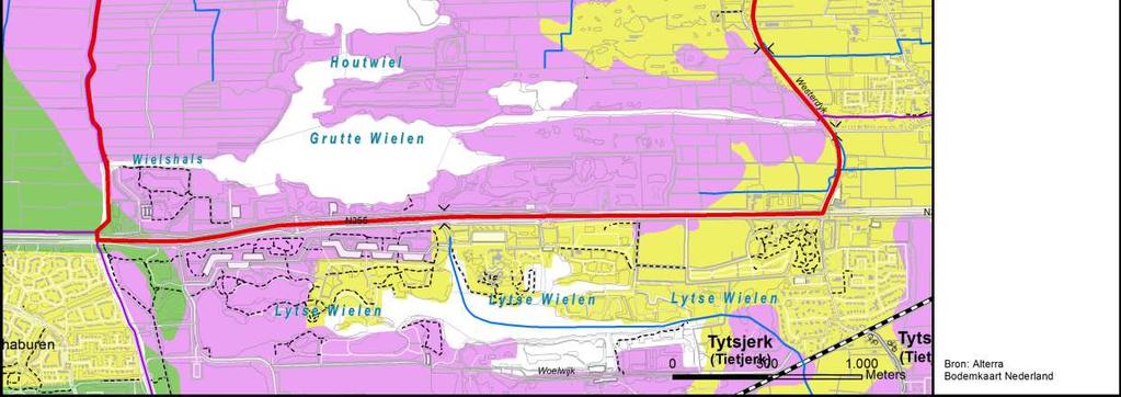 Ten oosten van de Houtwielen en Groote Wielen komt veel rietvegetatie voor. Landbouwpercelen (grasland) komen nog verspreid in het gebied voor.