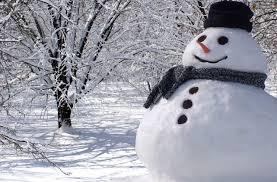Nummer 1* januari 2015 Hallo collega s Buiten ligt er sneeuw en is het koud, dus een mooi moment om het nieuwe bulletin te lanceren.