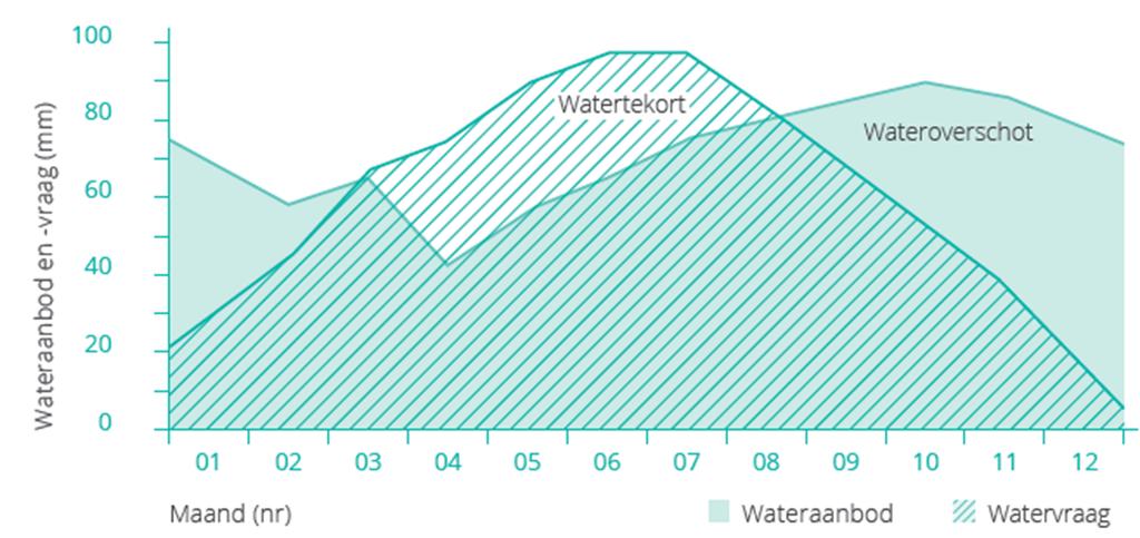 Watervraag en aanbod in het Westland (2) IN EEN GEMIDDELD JAAR o Overschot in de winter à bassin overstort (wateroverlast) o Tekort in de zomer à grondwater RO o Tekort overschot 30.000 20.