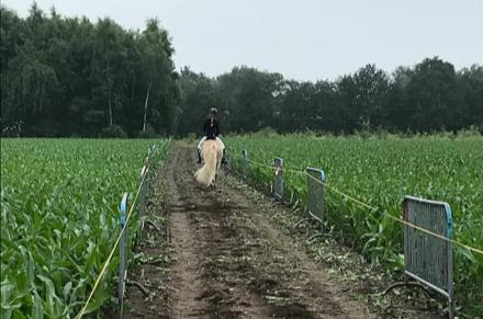 De hindernissen staan gepoetst in het veld, het parcours is opgesmukt met oa een oldtimer tractor uit de buurt.