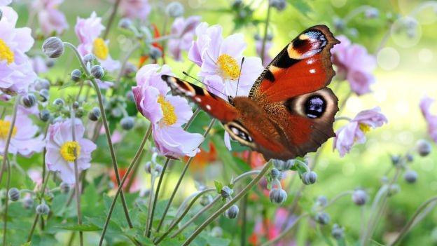 intuïtieve lessen PRAKTISCH WERKEN MET CHAKRA S, AURA, HEALING EN INTUÏTIE Het intuïtief jaar bestaat uit drie kwartalen van elk 10 lessen; totaal 30 lessen.