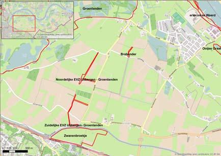 Nieuwe binnendijkse natuur in het Circul van Ooij: het Zwanenbroekje, de Ecologische Verbindingszone Ubbergen-Groenlanden en de Brabander heenvliegen, maar er zijn ook honkvaste soorten en allerlei