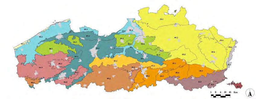 Figuur 5: De ecodistricten en ecoregio's in Vlaanderen 4.2.2 Voornaamste natuurkernen per ecodistrict De ligging van de grote natuurkernen is weergegeven op Figuur 6.