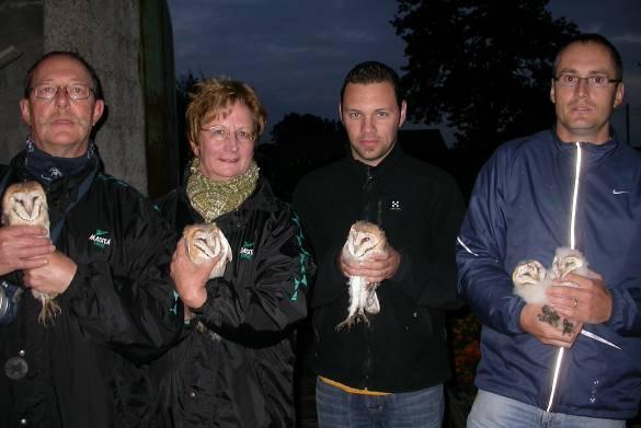 Op 23 mei 2007 konden we al bijna uitvliegende jonge kerkuilen ringen te Esen. Twee jaar terug was er voor het eerst een broedgeval. Eind juli 2005 werden drie pulli geringd.