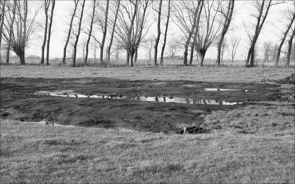 de graslanden binnen de ruilverkaveling (1986) en het reliëfrijk weiland waartoe dit perceel behoort, lag buiten dit gebied.