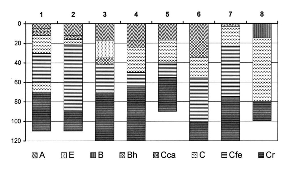 Plagvlak Tabel 1. Beschrijving van de plagvlakken, situatie 1981, 2000 en 2002 en hun ecologische waardering.