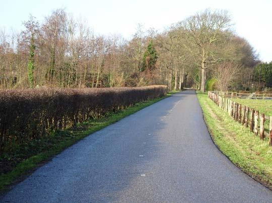 Vanuit perspectief van wilde bijen (en andere entomofauna) is het raadzaam om ook andere haagplanten toe te passen, zoals braam (Rubus), egelantier (Rosa rubiginosa), Gelderse roos (Viburnum