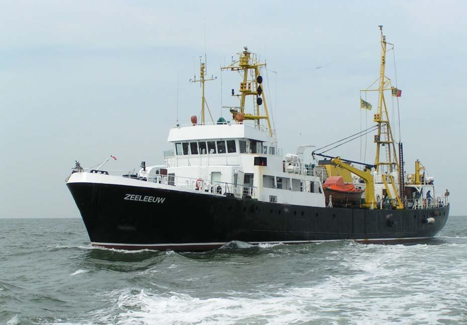 Jaarverslag Zeeleeuw 2005 Andre Cattrijsse Vlaams Instituut voor de Zee (VLIZ) Wandelaarkaai 7