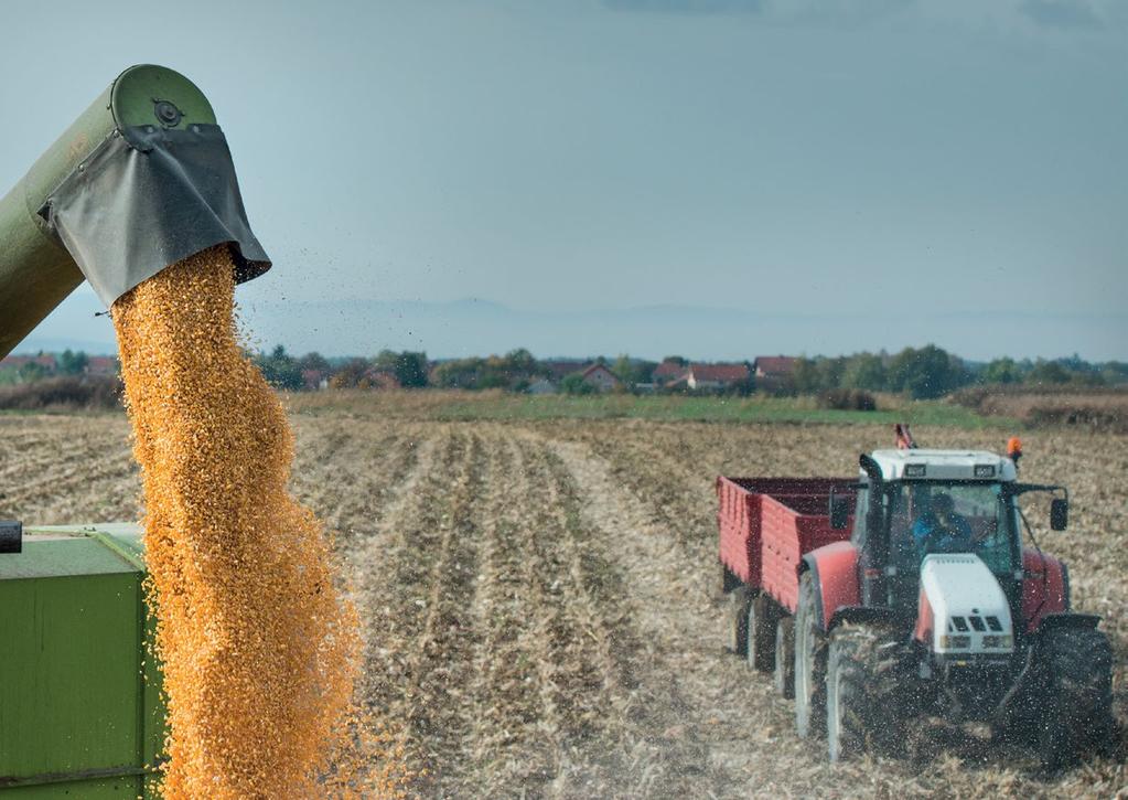 Voedsel Beleggen in voedseloplossingen Namens onze klanten concentreren we ons op de beleggingsmogelijkheden in oplossingen voor voedselproductie, toegang tot voedsel en voedselkwaliteit.