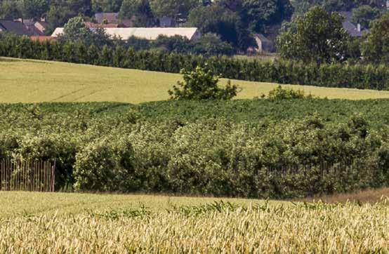 Dat mochten we tijdens de wateroverlast, grottenbrand en de verzakking in Zussen zelf ervaren. Daar past maar één woord voor: een grote dankuwel!