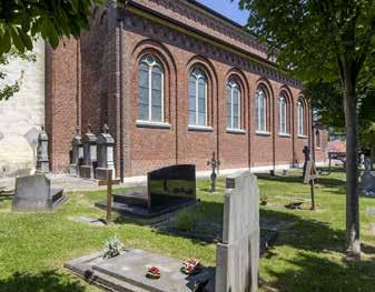 Minder grijs, meer groen Bomen zorgen niet alleen voor zuurstof, ze verbeteren ook de luchtkwaliteit.