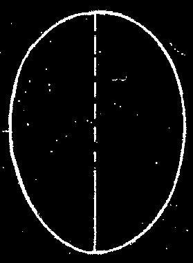 Verdeel deze verticaal van kruin tot kin door de helft 3. Verdeel de ovaal horizontaal in gelijke helften.