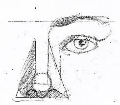 Neusvleugels: Trek een lijn vanaf de onderste hoek naar de hoogte van het ooglid.
